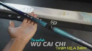 ОБЗОР ТЕГЕК ЛАГИ ТРИ РЫБКИ WU CAI CHI/WCC