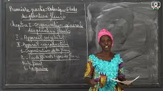 Cours - Sixième - SVT : Organisation générale des plantes à fleurs - Appareil reproducteur 7/7
