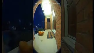 CCTV Captured the Most Unexpected Hero Ever!