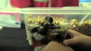 Cooking With Gabby // Ross Snyder Recreation Center // Gabbylicious Fruit Parfait