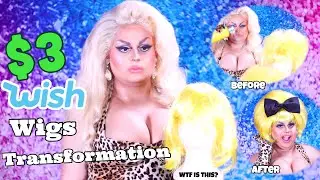 $3 DOLLAR WISH WIGS TRANSFORMATION | JAYMES MANSFIELD