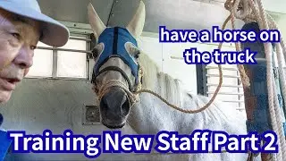 Behind the Scenes of Racehorse Transport Training &ndash; Part 2