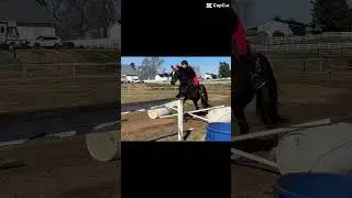 First time jumping in tall boots.