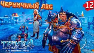 Trine 4: The Nightmare Prince #12 &bull; Черничный лес