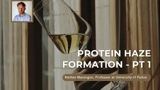 Proteins Haze Formation in Wine - Part 1