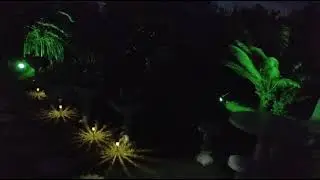 Uma noite no S&iacute;tio Nova Esperan&ccedil;a 