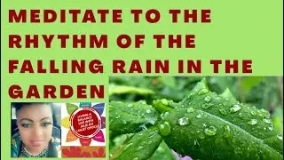 Relaxing Meditation to Garden RAIN FALLS with calming Music to study, sleep, relief Tinnitus, stress