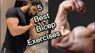 5 best bicep workout 💪🏻 Subscribe for more exercise videos
