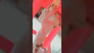 Cute cat 🐈😄#kiding #loving #video 😘😘