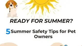 Summer Care Tips for Pets🐾🐶🐱 #pets #petowner #dog #cat
