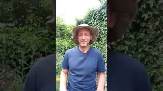 Empowerment through breathing (Simple and powerful!)