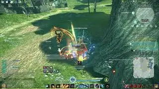 Elyon Elementalist PVE Easy/Lazy Build