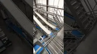 Custom packline engineering accumulation and Volmpack bagging