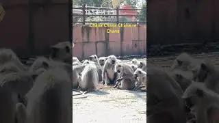 BREAKFAST TIME