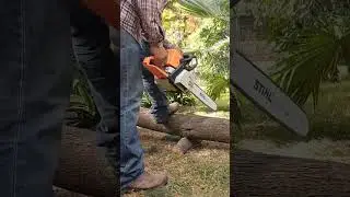 Motosierra Stihl Ms 250