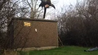 Fails and Bloopers 2015