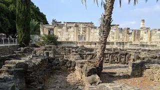 The Plagues and Creation (Vaera 5786) by Slade Henson #messianicjudaism #torah #jewishthought