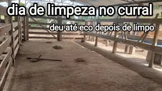 “Olha o trabalho que deu! Hoje foi limpeza pesada no curral”( leia a descrição)