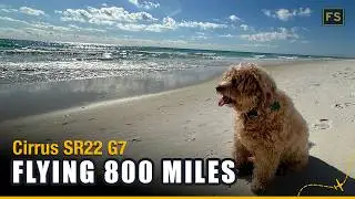 IFR Cross Country from Florida to Michigan | SR22 G7
