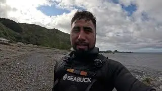 QUICKEST DIVE EVER. Xmas kaimoana sorted. South coast Wellington