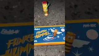 Funke Funkenhummel🐝✨️ #silvester #feuerwerk #pyro #fireworks #vuurwerk #funkefeuerwerk #dumbum