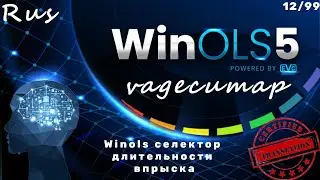 Winols селектор длительности впрыска - vagecumap rus перевод 12.99 обучение WinOLS на русском