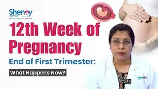 12th Week of Pregnancy | End of First Trimester: What Happens Now? | Shenoy Hospitals, Hyderabad