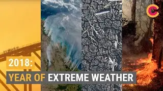 2018: Year of Extreme Weather