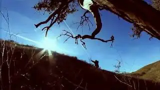 Charlene Joan - Muse (Official Music Video)