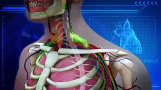 3D Reel Animation Reel: Rip Media Group