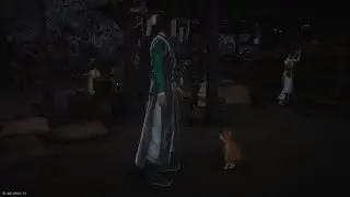 Cat Play: Top Scholar (Heaven's Pier) | Where Winds Meet PS5