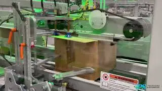 Pearson CE35 Case Erector | IPS Packaging & Automation