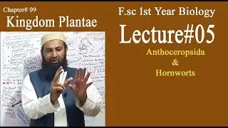 Biology Ch#09-Lecture#05 Anthoceropsida | Hornworts  (F.Sc 1st Year)