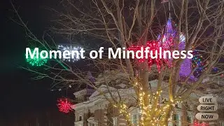 Live Right Now &ndash; Moment of Mindfulness: Twinkling Holiday Lights