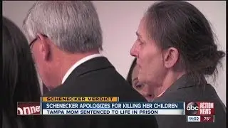 Schenecker makes tearful apology in court
