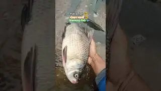 🔥👉🐠 Unbelievable!! Giant Catla Fish Cutting Technique 😱 #viralshorts #viral #fishing #fish #bigfish