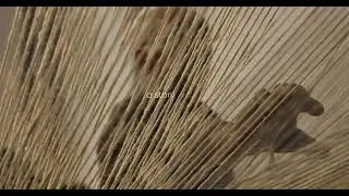 Alarug - Washable Easy Care Rugs Product Video