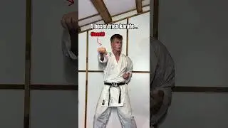 A boxer tries karate&hellip;