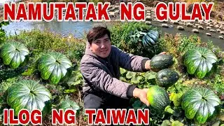 Natagpuan namin ang LIHIM ng ilog Sa Bansang Taiwan