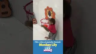 Baby Monkey Plays Basketball Like a Pro! #shorts #short #monkey
