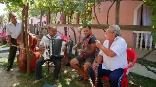 Szilágynagyfalusi zenekar - Muzicanţii din Nușfalău Județul Sălaj