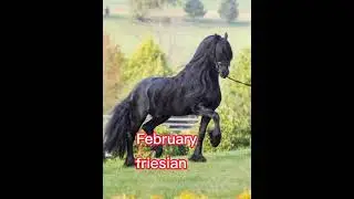your month your horse breed!  my moms birthday is on the 15th! I'll be doing a special.#edit #horse