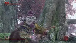 Sekiro - True Corrupted Monk Cheese Within 1 Minutes