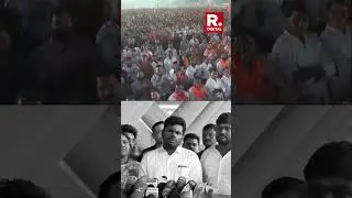 'Rasmalai': Raj Thackeray's jibe at Annamalai