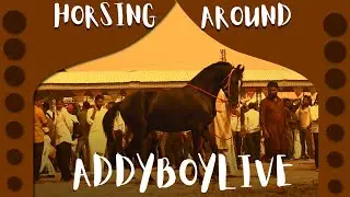 Pushkar Fair 2019 with Addy | Part -1 | City in a song