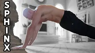 Sphinx Push Ups Tutorial (Lead Up To Shuttle Push Ups!)