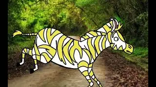 Zebra On The Run