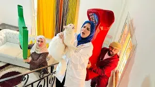 الحقوا في بيتنا حرامي 😱 رد فعل نمر صدمني في 🥲