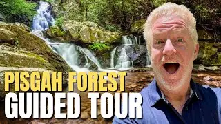 Pisgah National Forest NC Tour | Life in Western NC & Things to Do in Pisgah National Forest