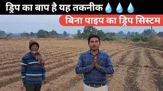ये तरीका ड्रिप का भी बाप है | मक्के का खेती का जबरदस्त तरीका । 🔥🔥🔥